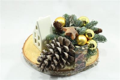 <h4>K488 HUIS GOUD SCHORS</h4>