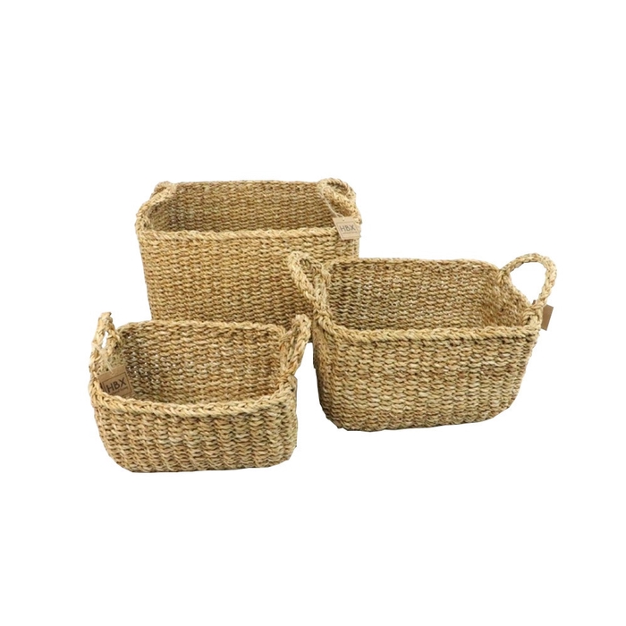 <h4>Basket sets Manatee Grass S/3 d25*10cm</h4>