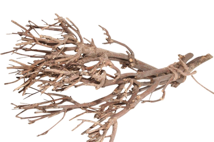 <h4>Deco Bundle Twig L30-45 Natural</h4>