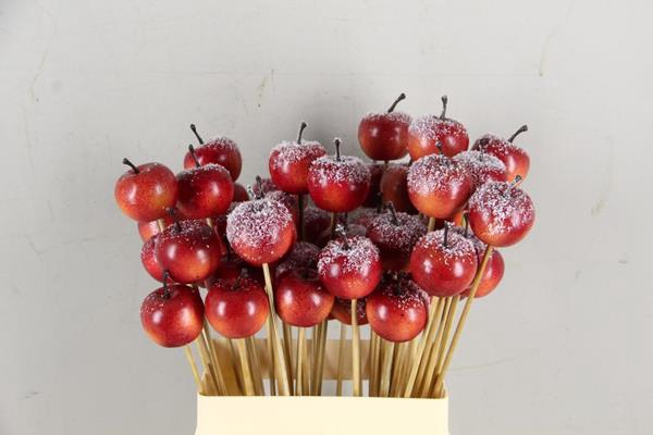 <h4>Stick Apple 4cm/medium Red+snw</h4>