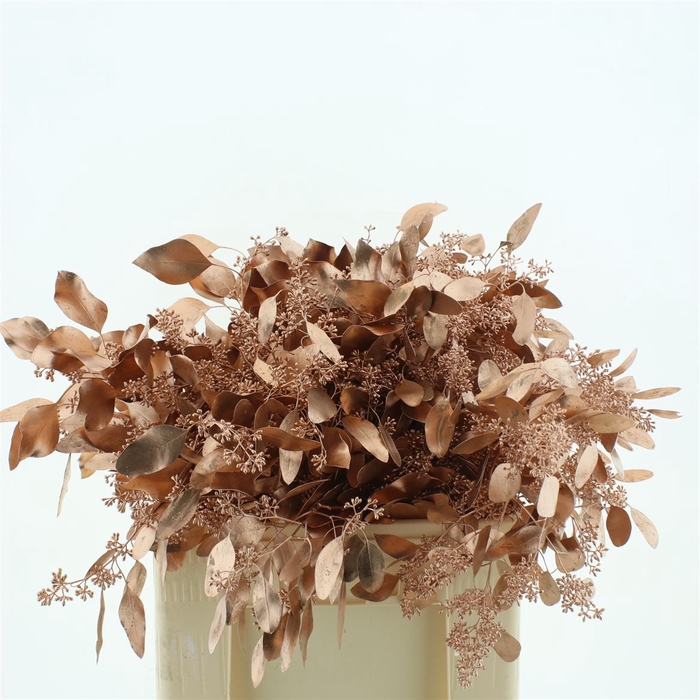 <h4>Euca Populus Bes Klb Koper 300gr</h4>