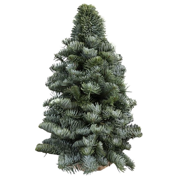 <h4>Kerstboom L8</h4>