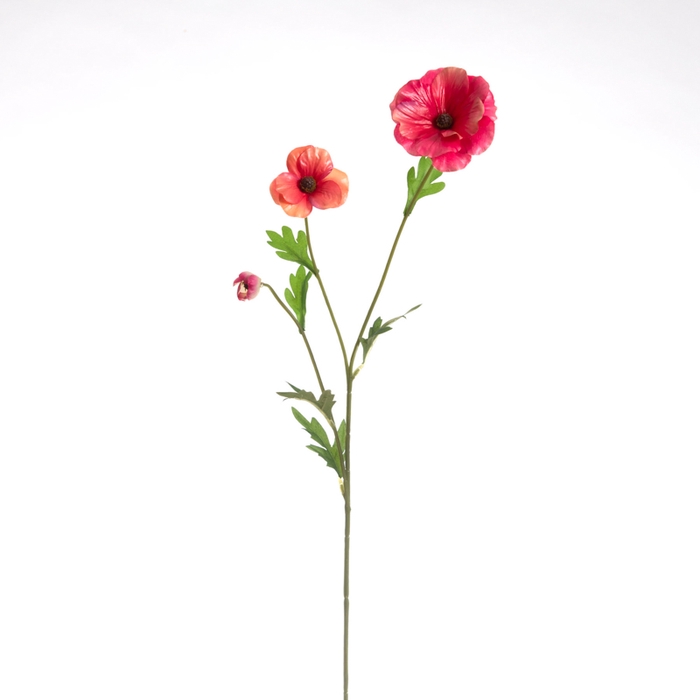 <h4>Af Anemoon 3bloemen L60cm Roze</h4>
