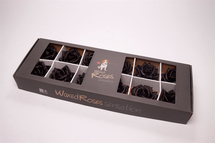 <h4>R Wax 130 Black In Ds</h4>