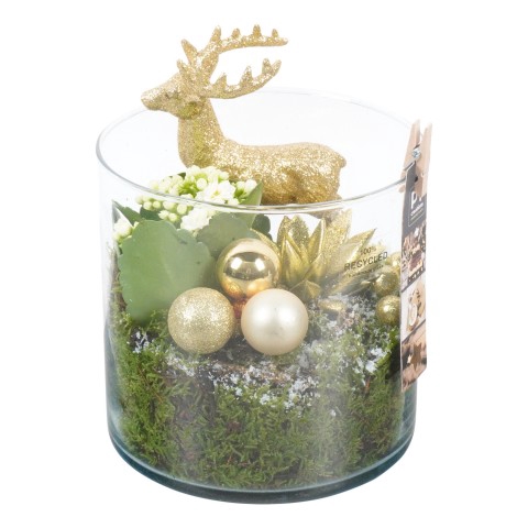 <h4>PTCHG5116 Arrangementen Kerst</h4>
