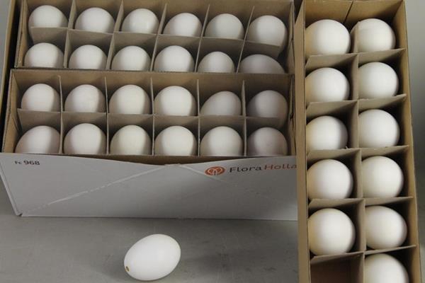 <h4>Egg Duck Natural Box(12pcs)</h4>