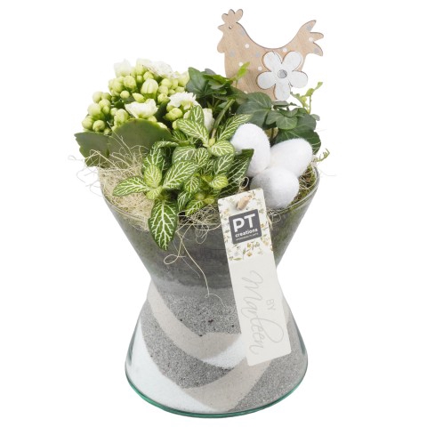 <h4>BMHE1178 Arrangementen kamerplanten</h4>