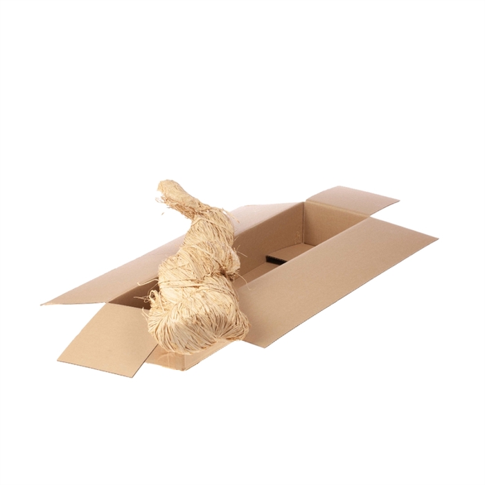<h4>Raffia kg SB natural</h4>