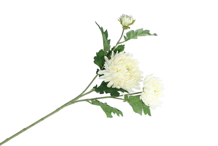 <h4>Silk Chrysant White 71cm</h4>