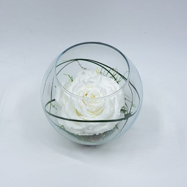 <h4>Bolvaas d12cm wit glas</h4>