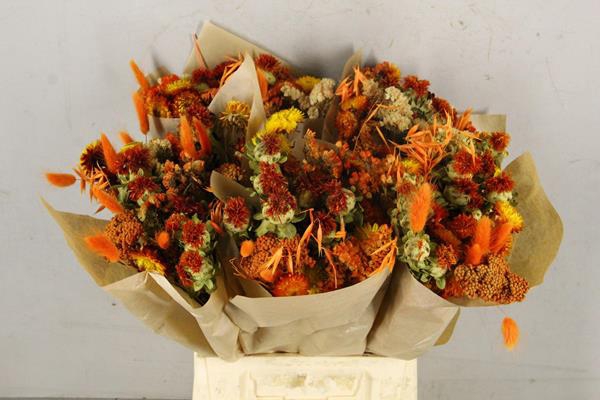 <h4>Df bouquet 50cm neon orange</h4>