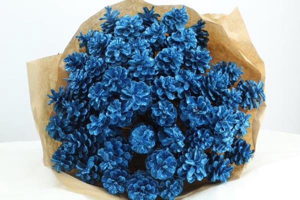 <h4>Droog Denn Blauw + Glitter</h4>