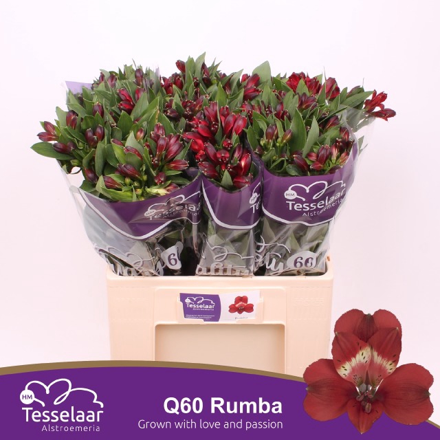 Verhoeven Bloemen
