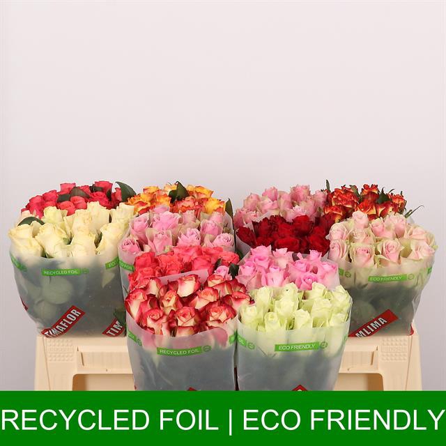 Timaflor Roses A&Z Flowers Webshop