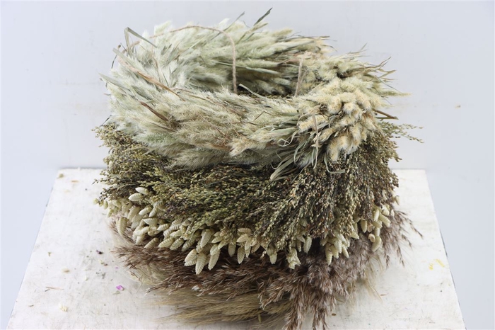 <h4>Wr Brasilia Mix 30cm</h4>