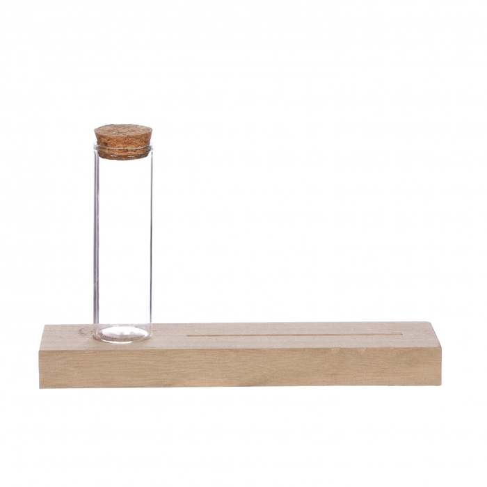<h4>Glas Buis+Hout d03*10cm</h4>