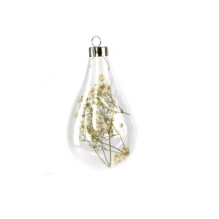 <h4>Dried flowers Glass+dried flower d8.5*15cm</h4>