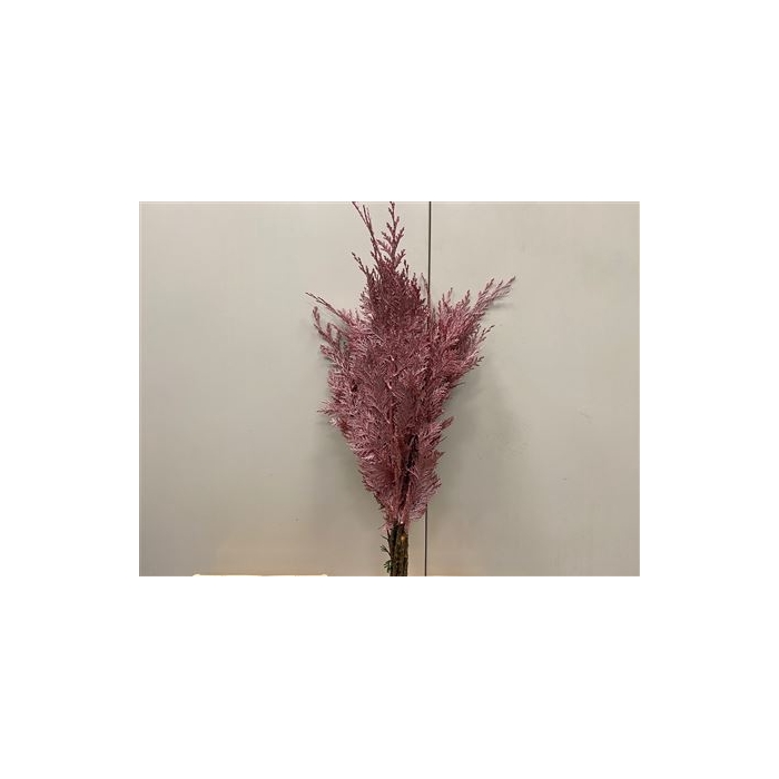 <h4>Coniferen Metallic Pink</h4>