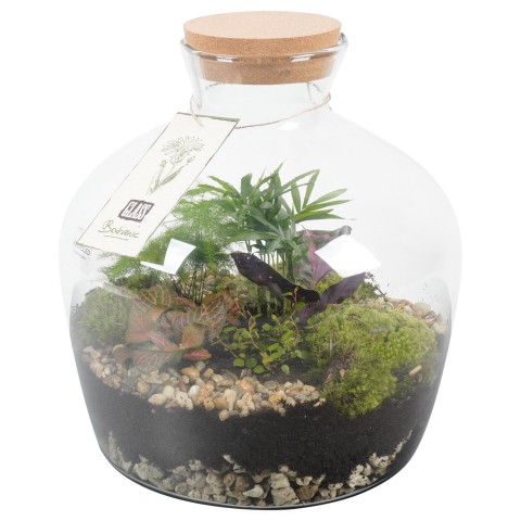 <h4>PTTM2628 Arrangementen kamerplanten groen</h4>