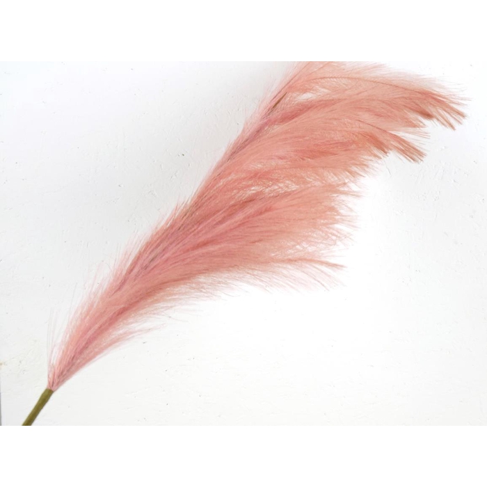 <h4>Af Pampas 130cm Pink</h4>