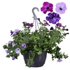 Hpot Petunia MixPot Mixkar