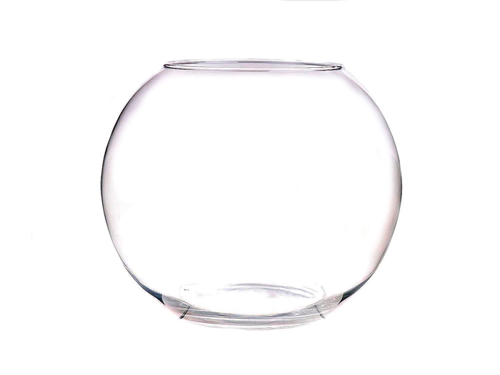 <h4>DF882160800 - Fish bowl Fisher d17/30xh25 clear</h4>