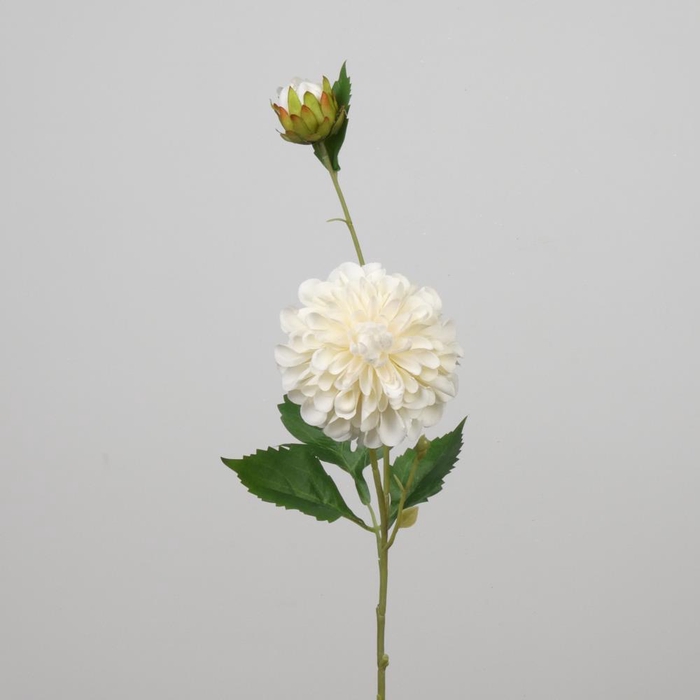 <h4>Af Dahl Pompon X2 L65cm Creme</h4>