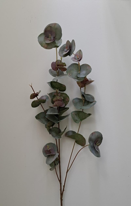 <h4>Af Eucalyptus L75cm Groen/rood</h4>