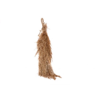 <h4>Dried articles Pampas hanging 50cm</h4>