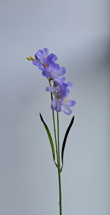 <h4>Af Freesia L65cm Lila</h4>
