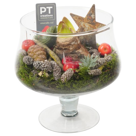 <h4>PTACH7992 Arrangementen Kerst</h4>