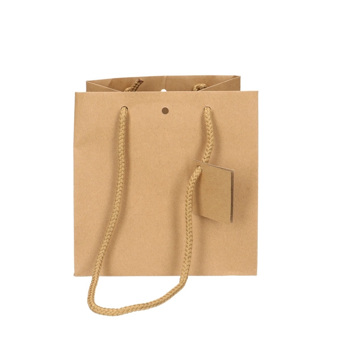 <h4>Bags Gift bag d18*18cm</h4>