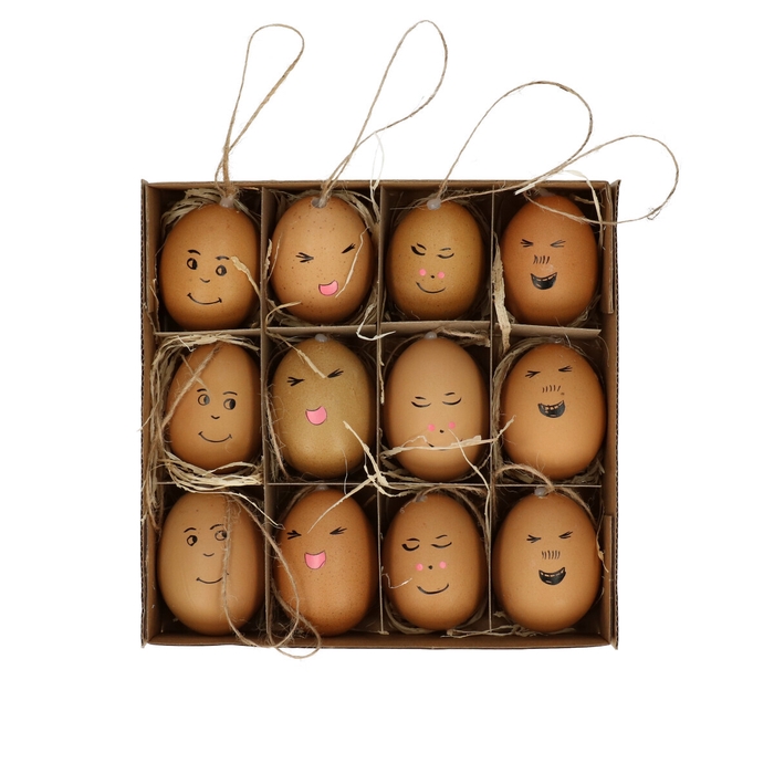 <h4>Easter Deco chicken egg d4*6cm Smiley x12</h4>