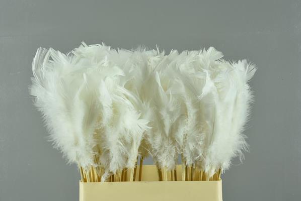 <h4>Stick Feather White 14cm</h4>