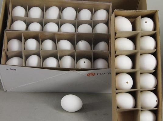 <h4>Egg Chicken White Box(12pcs)</h4>