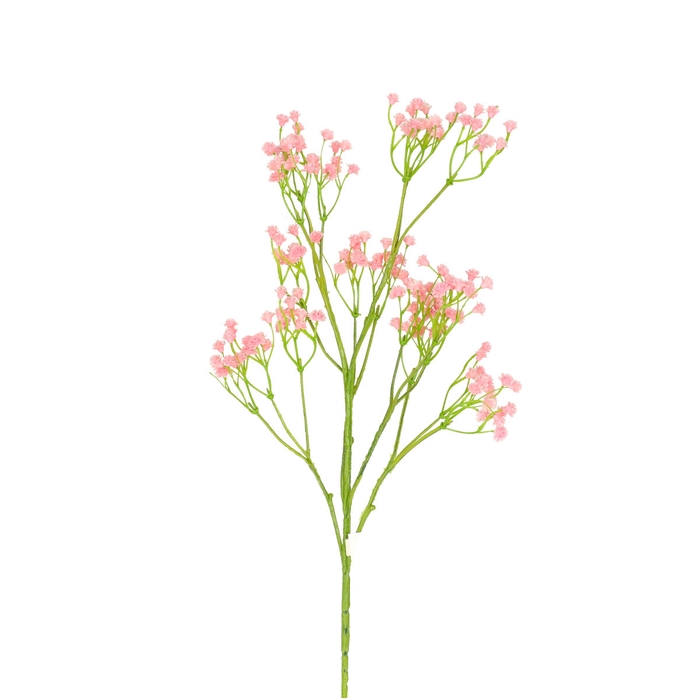 <h4>Opruiming Gypsohpila 64cm</h4>