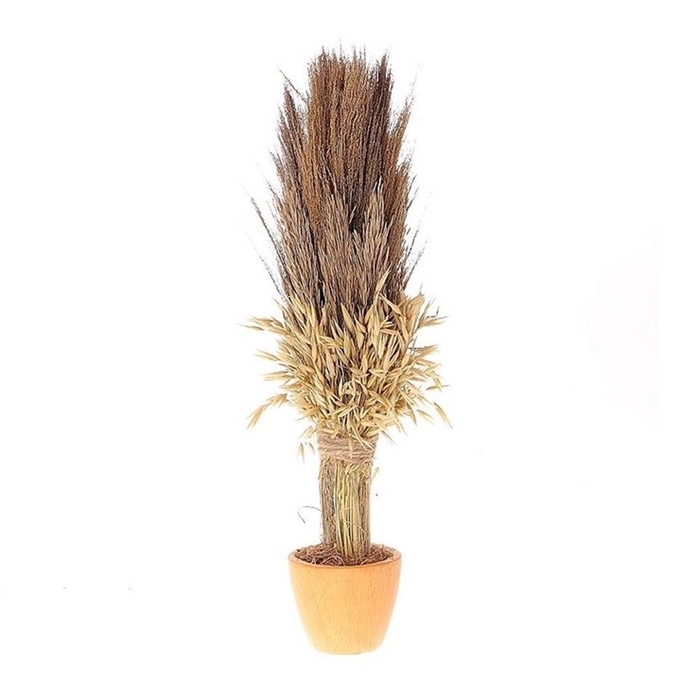 <h4>Droogbloem Pot Havana broom d12*53cm</h4>