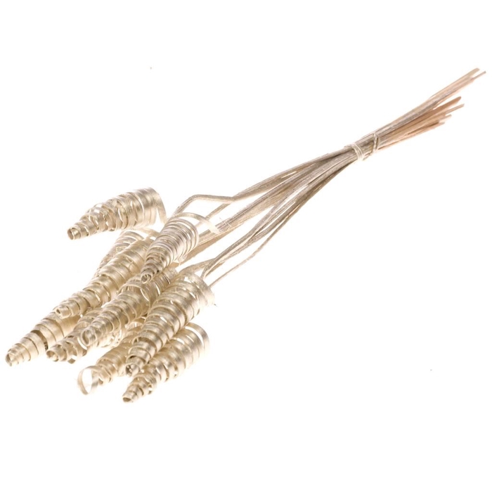 <h4>C cone ch gold</h4>