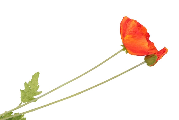 <h4>Silk Papaver Tak Orange 96cm</h4>