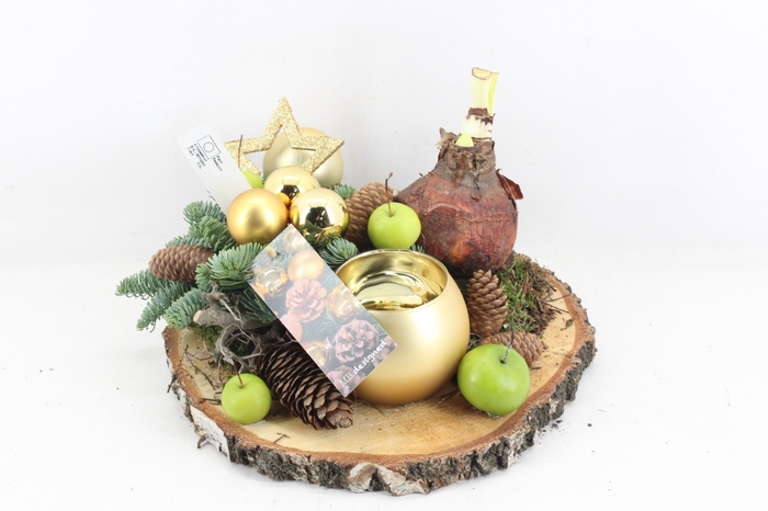 <h4>arr5 Kerst MB514 - Hout schijf 1bol wax/amaryllis goud</h4>