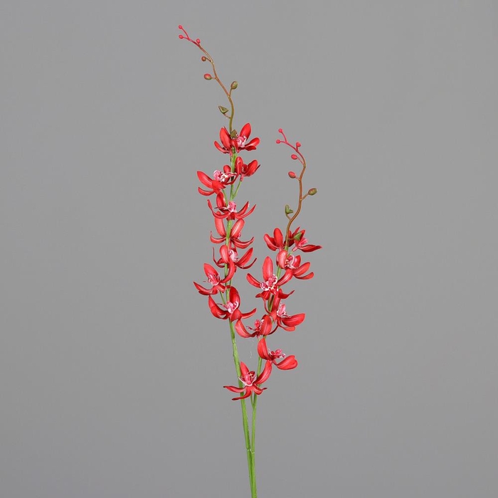<h4>Af Orchidee L90cm Rood</h4>