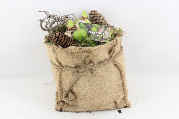 <h4>arr4 Hyacint MB309 - Jute zak XL</h4>
