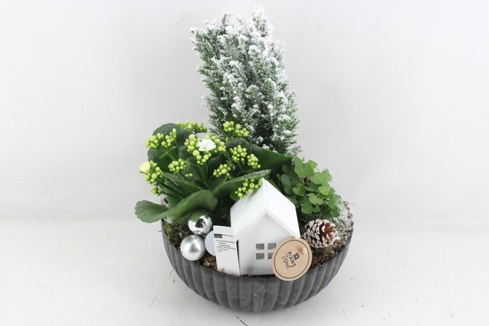 <h4>arr2 PL - Kunstst. schaal zwart boom</h4>