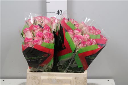 PP Flowers Webshop