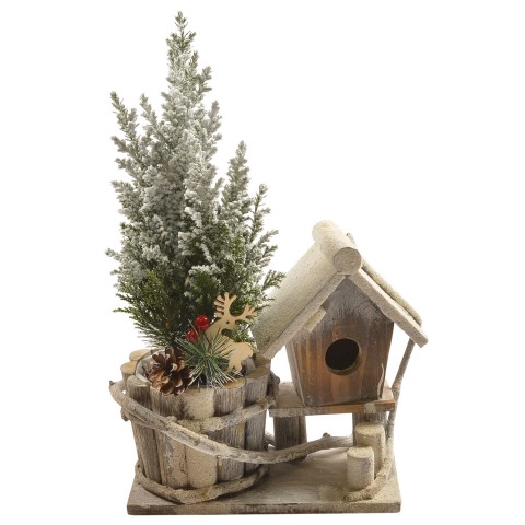 <h4>PTK23161 Chamaecyparis lawsoniana 'Ellwoodii'</h4>