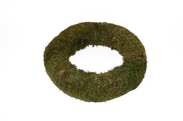 <h4>Wreath platmos 25cm</h4>
