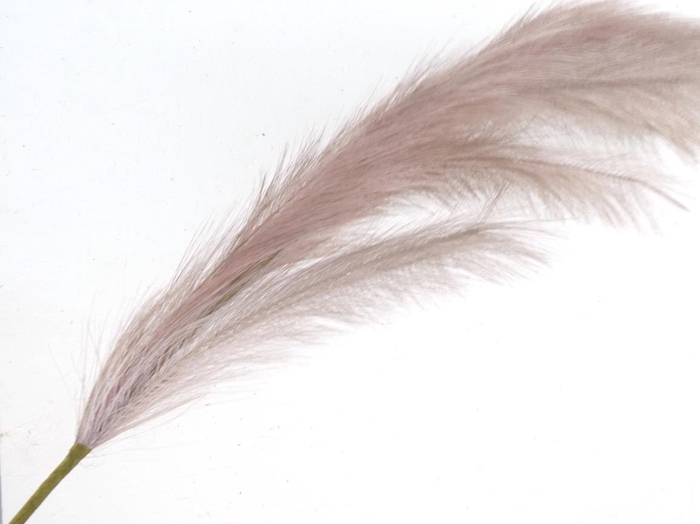 <h4>Af Pampas 130cm Lilac</h4>