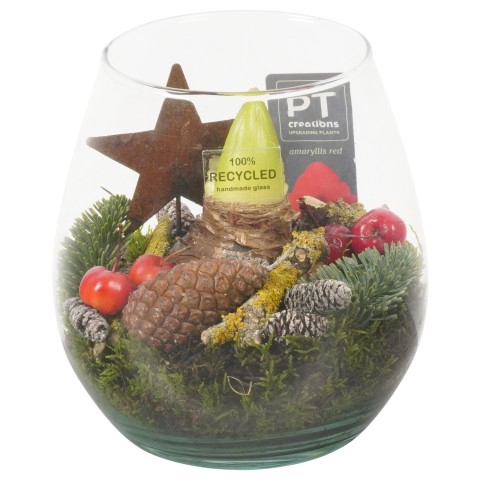 <h4>PTACH7990 Arrangementen Kerst</h4>