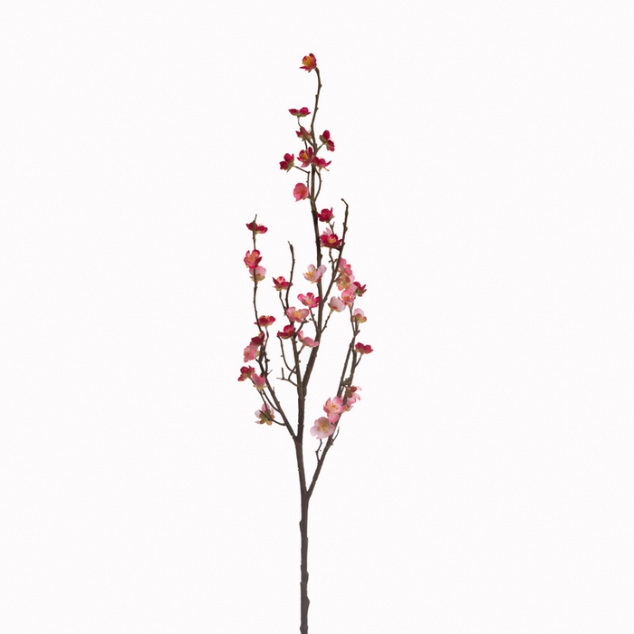 <h4>Af Kersenbloesem L70cm Fuchsia</h4>