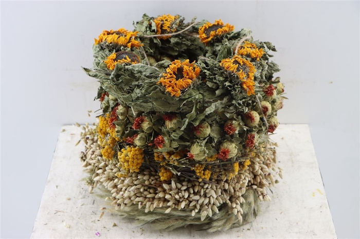 <h4>Wr Fortaleza Mix 30cm</h4>